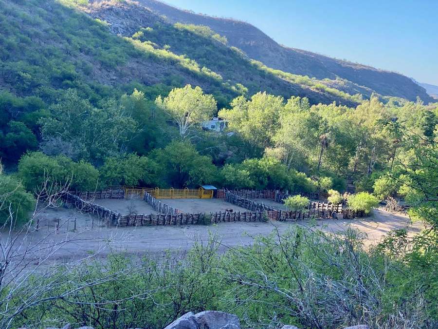 PHOTO-2024-05-08-13-28-16 41.jpg